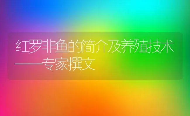 红罗非鱼的简介及养殖技术——专家撰文 | 淡水养殖