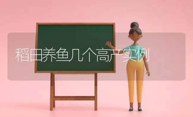 稻田养鱼几个高产实例 | 动物养殖百科