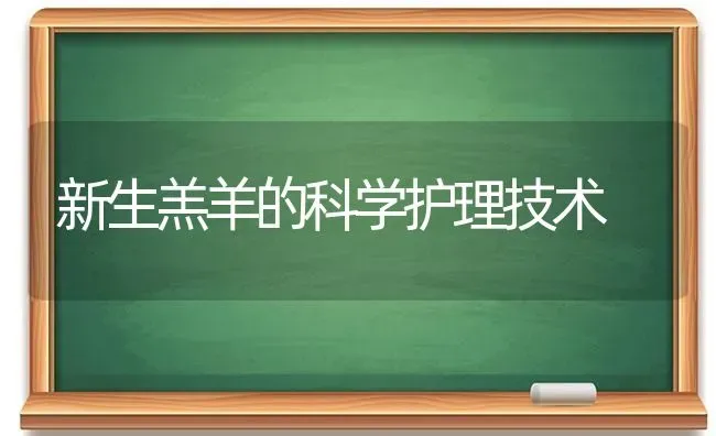 新生羔羊的科学护理技术 | 家畜养殖