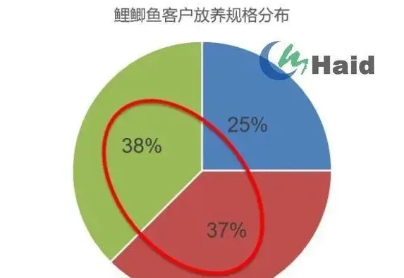 鲤鱼鲫鱼如何高效养殖？模式管理缺一不可！