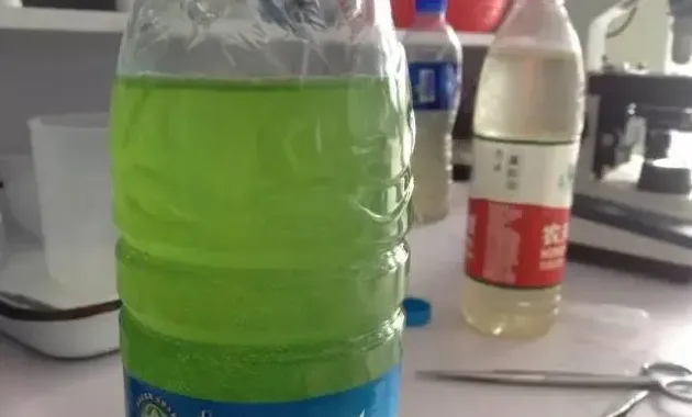 连续阴雨天后晴天升温池塘水质处理方法
