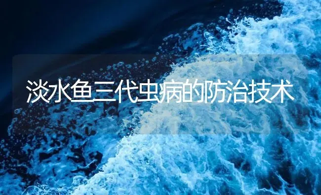 淡水鱼三代虫病的防治技术 | 养殖病虫害防治