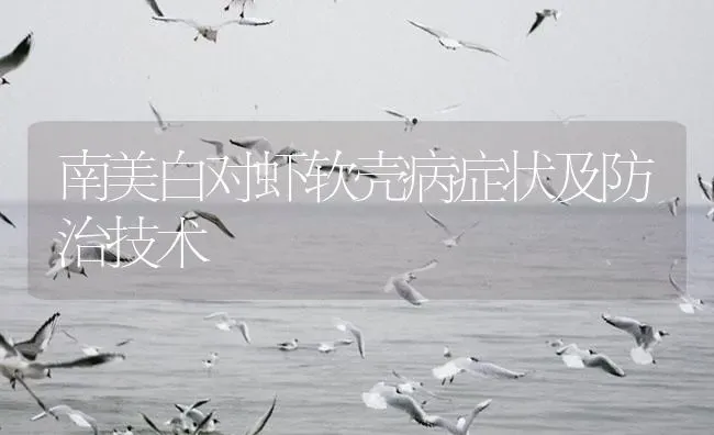 南美白对虾软壳病症状及防治技术 | 海水养殖