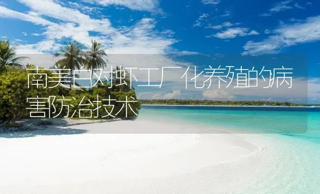 南美白对虾工厂化养殖的病害防治技术 | 海水养殖