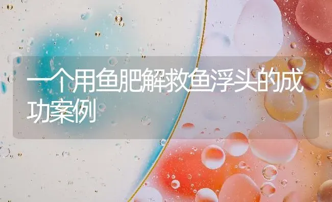 一个用鱼肥解救鱼浮头的成功案例 | 动物养殖百科
