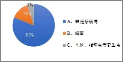 棘手！鲫鱼鳃出血即将暴发，这里有份鳃出血防控标准！