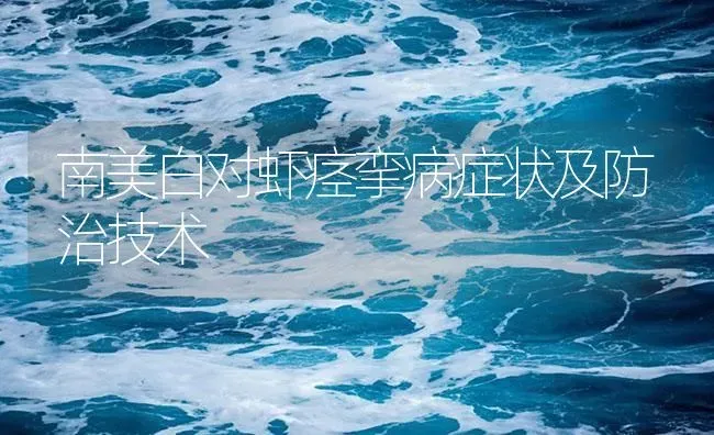 南美白对虾痉挛病症状及防治技术 | 海水养殖