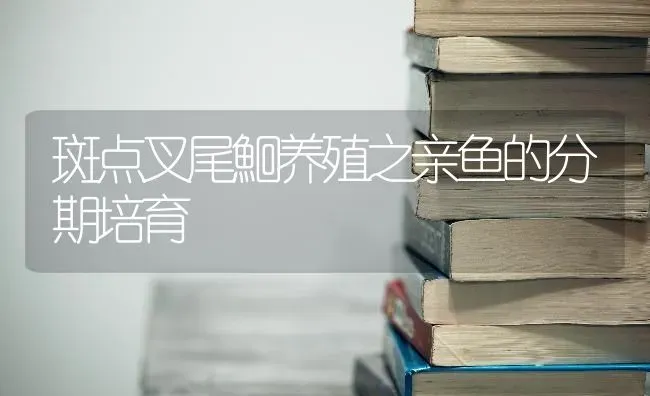 斑点叉尾鮰养殖之亲鱼的分期培育 | 淡水养殖