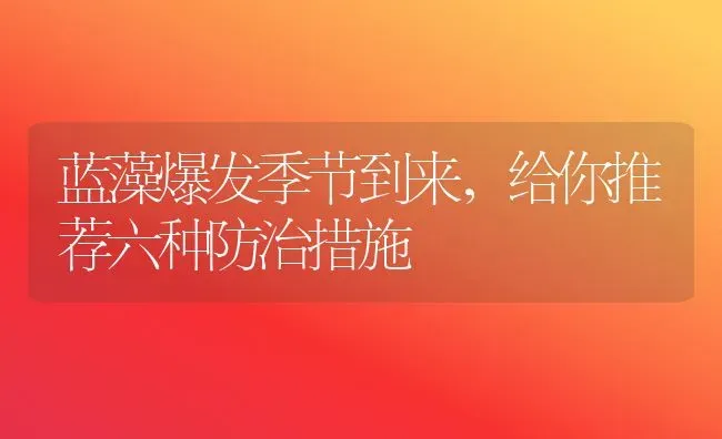 蓝藻爆发季节到来，给你推荐六种防治措施 | 动物养殖百科