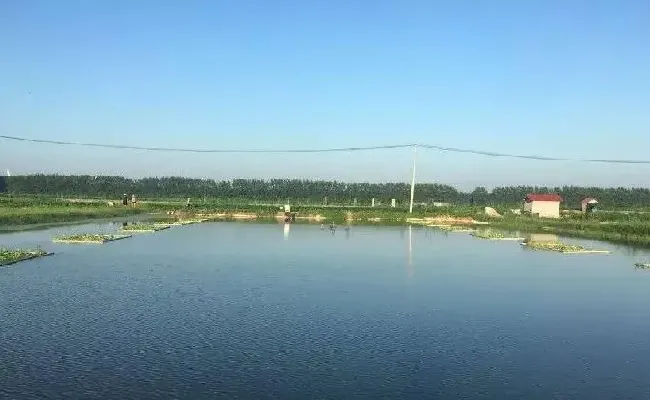 不同养殖模式下草鱼池塘溶氧、水温、pH日变化规律