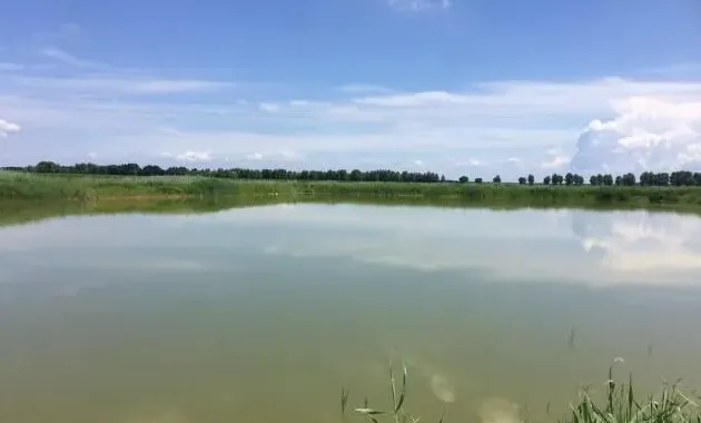 【值得收藏】关于肥水难的问题，可能是这十个方面的问题！！