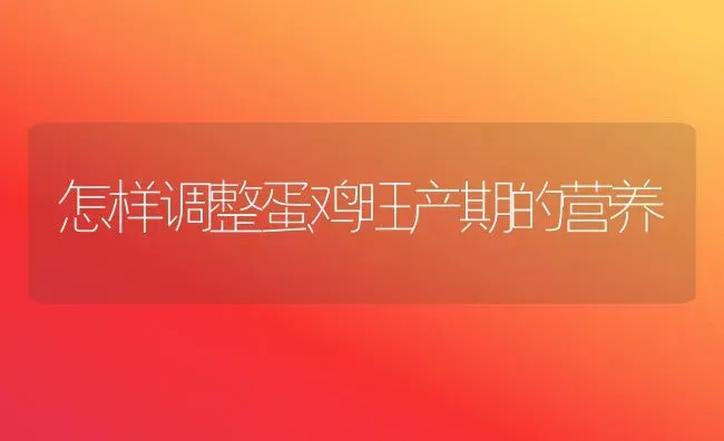 怎样调整蛋鸡旺产期的营养 | 家禽养殖