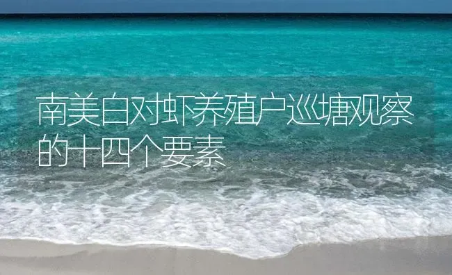 南美白对虾养殖户巡塘观察的十四个要素 | 海水养殖