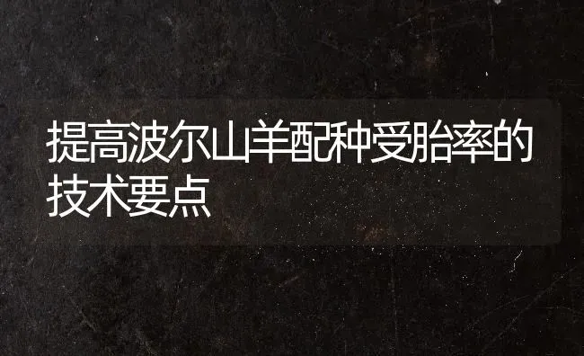 提高波尔山羊配种受胎率的技术要点 | 家畜养殖