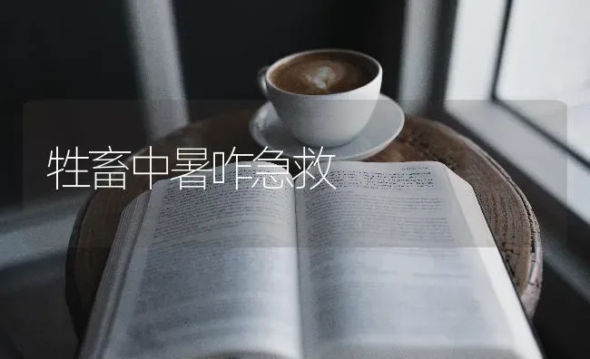 牲畜中暑咋急救 | 家畜养殖