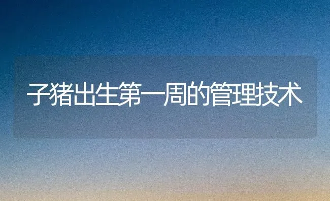 子猪出生第一周的管理技术 | 家畜养殖