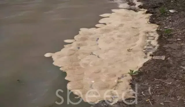 池塘底质是水产养殖成功的晴雨表