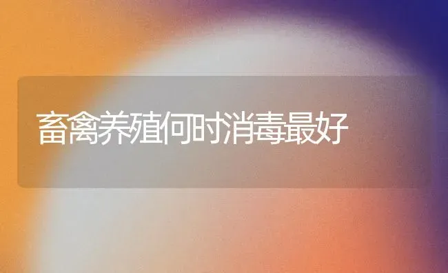 畜禽养殖何时消毒最好 | 家禽养殖