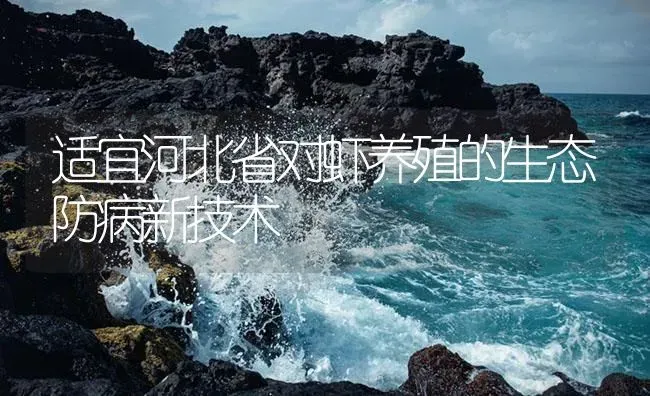 适宜河北省对虾养殖的生态防病新技术 | 海水养殖