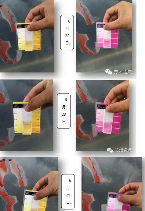 通威强效生物底改强大功能之—改底降亚硝酸盐