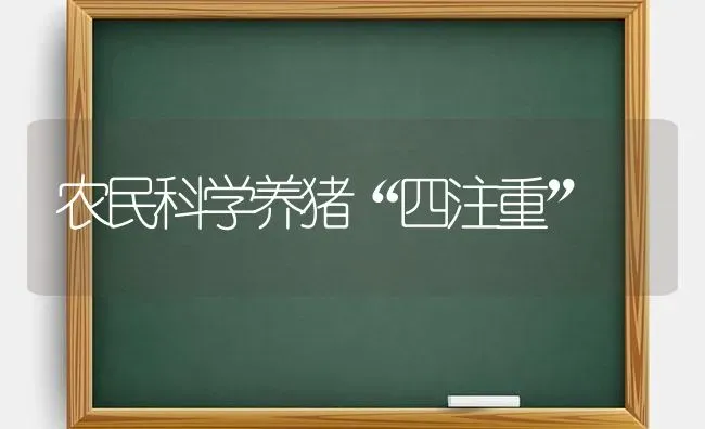 农民科学养猪“四注重” | 家畜养殖