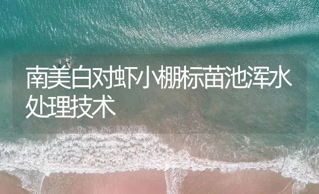 南美白对虾小棚标苗池浑水处理技术 | 海水养殖