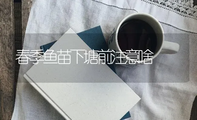 春季鱼苗下塘前注意啥 | 淡水养殖