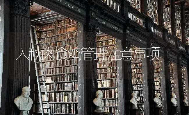 入秋肉食鸡管理注意事项 | 家禽养殖