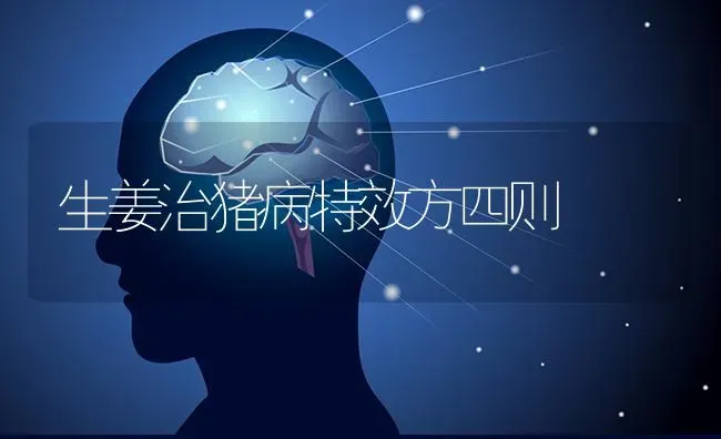 生姜治猪病特效方四则 | 家畜养殖