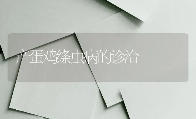 产蛋鸡绦虫病的诊治 | 家禽养殖