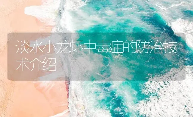 淡水小龙虾中毒症的防治技术介绍 | 海水养殖