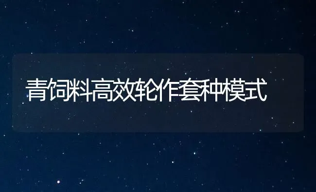 青饲料高效轮作套种模式 | 动物养殖饲料