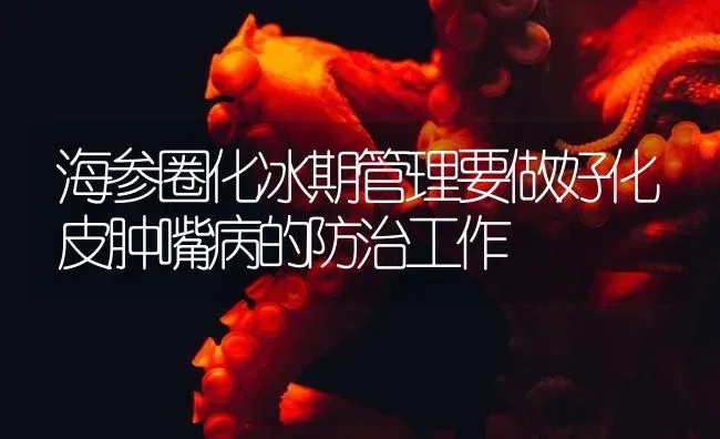 海参圈化冰期管理要做好化皮肿嘴病的防治工作 | 海水养殖