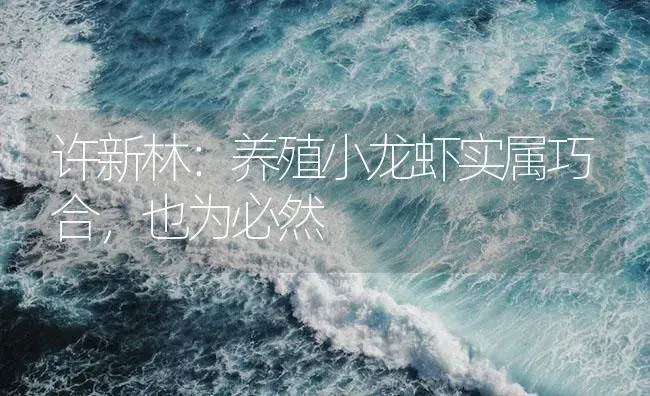 许新林：养殖小龙虾实属巧合，也为必然 | 海水养殖