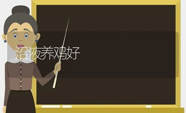 沼液养鸡好 | 家禽养殖