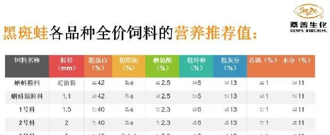探讨黑斑蛙人工养殖的前世今生及未来，从了解它的自然生态习性和生理结构特点开始