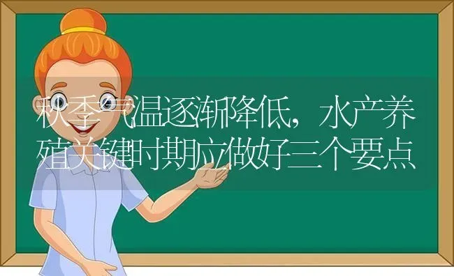 秋季气温逐渐降低，水产养殖关键时期应做好三个要点 | 动物养殖百科