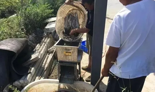 9月份虾稻田技术管理要点