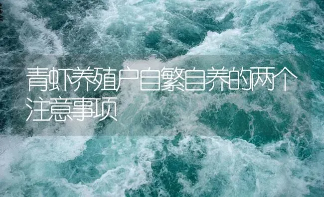 青虾养殖户自繁自养的两个注意事项 | 海水养殖