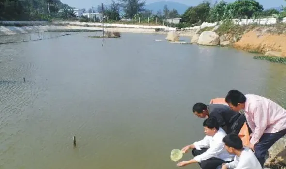 要想调节并保持理想的水质，需要能正确地“查颜观色”