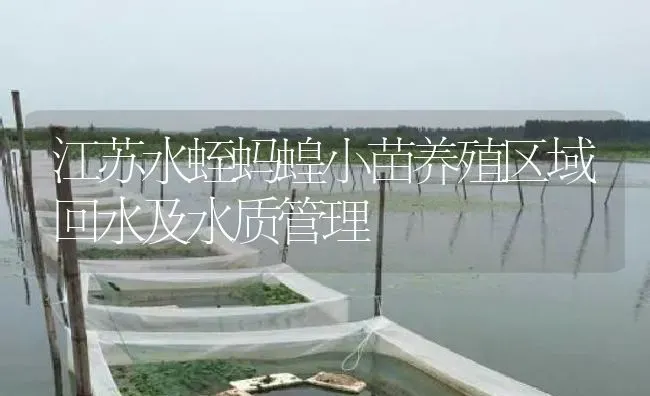 江苏水蛭蚂蝗小苗养殖区域回水及水质管理 | 特种养殖
