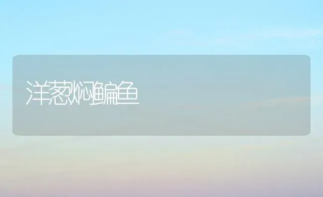 洋葱焖鳊鱼 | 动物养殖百科