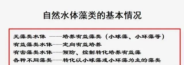 藻类培养定制4.0时代