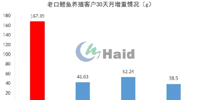 鲤鱼鲫鱼如何高效养殖？模式管理缺一不可！