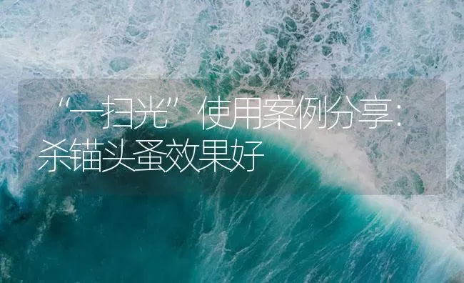 “一扫光”使用案例分享：杀锚头蚤效果好 | 养殖病虫害防治