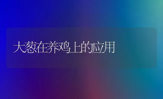 大葱在养鸡上的应用 | 家禽养殖