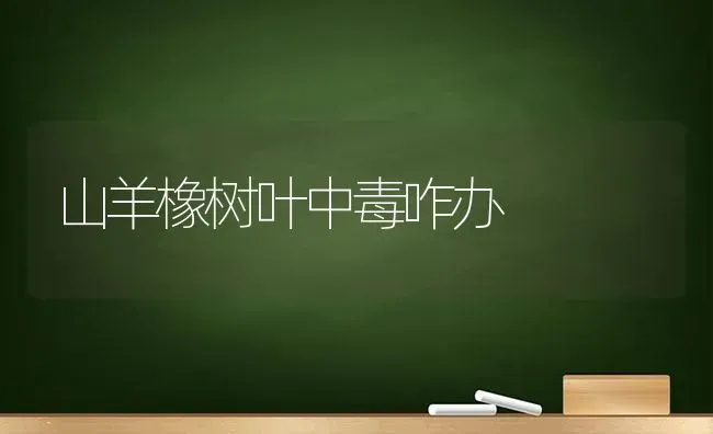 山羊橡树叶中毒咋办 | 家畜养殖