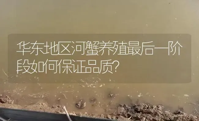 华东地区河蟹养殖最后一阶段如何保证品质？ | 淡水养殖
