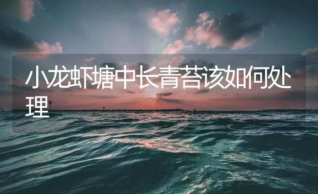 小龙虾塘中长青苔该如何处理 | 海水养殖