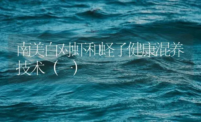 南美白对虾和蛏子健康混养技术（一） | 海水养殖